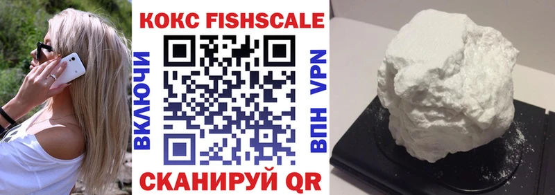 COCAIN Эквадор  MEGA ссылка  Домодедово  где купить наркоту 