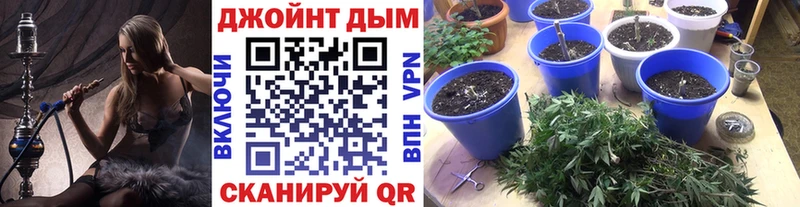 Бошки Шишки планчик  Домодедово 